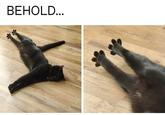 BEHOLD...