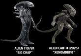 ALIEN (1979) “BIG CHAP” 究 ALIEN EARTH (2025) “XENOMORPH ”