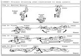 CONOP: Prevent drowning when restrained in deep waters. COA 1 Bottom Bounce Exhale and sink COA 2: Float Exhale Crouch and bounce Bend knees Kick Arch back COA 3 Travel Exhale Bend knees COA 4: Back to Front Rotation Inhale Flip over Kick backward Inhale Repeat Inhale Inhale Straighten back and propel forward Exhale Repeat Repeat Repeat