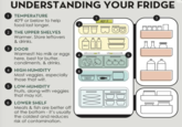 UNDERSTANDING YOUR FRIDGE 1 TEMPERATURE 40°F or below to help food last longer. 2 THE UPPER SHELVES Warmer. Store leftovers & drinks. 3 DOOR Warmest! No milk or eggs here, best for butter, condiments, & drinks. 200 MILK LODHI 4 4 HIGH-HUMIDITY 6 Most veggies, especially those that wilt. 5 LOW-HUMIDITY Fruits, along with veggies that may rot. 6 LOWER SHELF Meats & fish are better off at the bottom - it's usually the coldest and reduces risk of contamination. 40° F LOGO HI +4 000 MEAT 3 BBEL