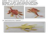 DM: You want that as a pet? Player: I do. His name will be Rusty and I will feed him only the most precious of metals. 3 sessions later...