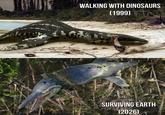 WALKING WITH DINOSAURS (1999) SURVIVING EARTH (2026)