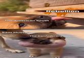 Rebellion The American South Sam Huston The Confederacy