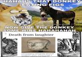 HAHA IS THAT DONKEY EATING FIGS @prussian.doge NOW GIVE THE DONKEY SOME WINE HAHAHAHAH Death from laughter Chrysippus allegedly died of laughter after witnessing a donkey eating his figs. 1