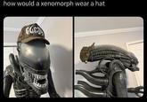 how would a xenomorph wear a hat