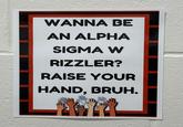 WANNA BE AN ALPHA SIGMA W RIZZLER? RAISE YOUR HAND, BRUH.