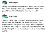 draconym Being a domesticated animal must be so weird. You see a big ape and you just think "I like that guy. I trust him. He looks like my friend." draconym I like to think that our pets look at us and think we're cute. Whenever I'm insecure about my appearance I imagine that dogs who wag their tail at me when I pass them on the street must be thinking that I look really adorable in my little outfit.