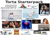 Torta Starterpack "I want serious man who can take care of me and be my husband. No sex" Name ends with "la" Can't control volume Facebook Dating *extremely HORNY Ends words with "uhhhh!" Aggressive. Overly Dramatic Large amounts of jealousy Professions: Cheetos Flamin Hot Crunchy NES WEAR ALL Dental Assistant, Biology, Therapy Slaps your shoulder or arm often (usually when laughing) Dodgers Huge fan of baseball wiki How Built like this CHECK ENGINE Looks through your phone HYUNDAI