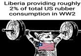 Liberia providing roughly 2% of total US rubber consumption in WW2