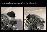 how would a xenomorph wear a beanie W