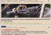 2h (11/08/24 11:59) 4904615.2 Re. 1 Img PNG 1MB (1485 x 833) 1678241240249531.png 1 Reply Animals whose very existence proves there is no God. > Babirusa > Tusks grow into its brain and k lls it. 1/1 God . 1h (11/08/24 13:06) - 4904648 >>4904615 (OP) God here, I made him that way because i think its funny, just like how i made you an unlovable f ggot Imao.