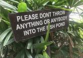 PLEASE DONT THROW ANYTHING OR ANYBODY INTO THE FISH POND