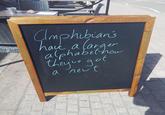 Amphibian's have, a a larger alphabet how they've got a newt bak ABERDEEN