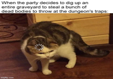 When the party decides to dig up an entire graveyard to steal a bunch of dead bodies to throw at the dungeon's traps: imgflip.com