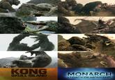 KONG SKULL ISLAND MONARCH LEGACY OF MONSTERS