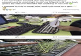 I am so frickin excited that my living keyboard experiment is working!! Soon my fingers will have lush grass to help me feel like I'm working in nature! I seeded it only a week ago, and now look at it go!! 57 Like 21 Comments Comment Like Comment