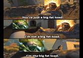 You're just a big fat toad! I'm not a big fat toad. Template from Kung fu panda Warhammer art by LJ Koh I'm the big fat toad.