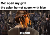 Me: open my grill the asian hornet queen with hive HELLO THERE.