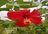 THE WHOLESOME BLOOM Even the smallest gesture... can bloom into immense joy.