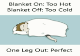 Blanket On: Too Hot Blanket Off: Too Cold One Leg Out: Perfect