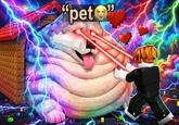 "pet"