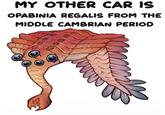 MY OTHER CAR IS OPABINIA REGALIS FROM THE MIDDLE CAMBRIAN PERIOD