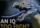 AN IQ TOO HIGH?