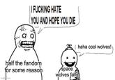 || F------ HATE YOU AND HOPE YOU DIE half the fandom for some reason space wolves fans imgfire.com haha cool wolves!