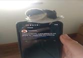 11:43 Tweet toomanycarz @toomanycarz There is literally a bird sitting on my phone as I tweet this. It's tweeting 11:42 28 Jul 21 Twitter for Android & View Tweet activity D