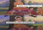 SADANDUSELESS.COM Buddha, what makes us human? Selecting all images with traffic lights.