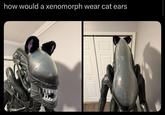 how would a xenomorph wear cat ears
