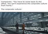 Companies: "You have to come back to the office. You can't experience the corporate culture from home." The corporate culture: