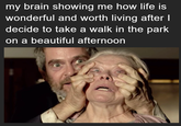 my brain showing me how life is wonderful and worth living after I decide to take a walk in the park on a beautiful afternoon