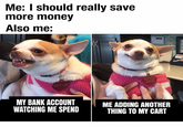 Me: I should really save more money Also me: LILY LU MY BANK ACCOUNT ME ADDING ANOTHER WATCHING ME SPEND THING TO MY CART