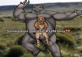 Smilodon please RUN bro