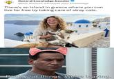 General.knowledge.booster → @this account will boost your knowledge There's an island in greece where you can live for free by taking care of stray cats. IG:@starwars sheevposting Pack your things. We're leaving.