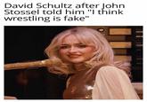 David Schultz after John Stossel told him "I think wrestling is fake"