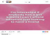 lo • 3d. I'm interested if anybody has a girl kittens I can't afford adoption just looking to have a friend O Meta Al 8 ☐ 26 Newest ✓ DO