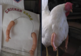 CHICKEN ARMS ace as around weck of chicken. Det va your pants. Repeat 82