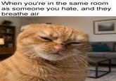 When you're in the same room as someone you hate, and they breathe air @Viral Cats