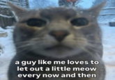 a guy like me loves to let out a little meow every now and then