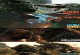 KONG SKULL ISLAND IVS. GODZILLA KONG GODZILLA-KONG THE NEW EMPIRE MONARCH LEGACY OF MONSTERS
