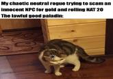 My chaotic neutral rogue trying to scam an innocent NPC for gold and rolling NAT 20 The lawful good paladin: