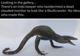 Looking in the gallery... There's an Indo keeper who taxidermied a dead clouded monitor to look like a Skullcrawler. No idea who made this.