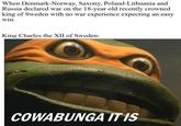 When Denmark-Norway, Saxony, Poland-Lithuania and Russia declared war on the 18-year old recently crowned king of Sweden with no war experience expecting an easy win. King Charles the XII of Sweden: COWABUNGA IT IS