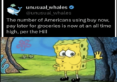 unusual_whales @unusual whales The number of Americans using buy now, pay later for groceries is now at an all time high, per the Hill 43-543