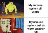 My immune system all winter My immune system just as warm weather hits