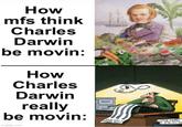 How mfs think Charles Darwin be movin: How Charles Darwin really be movin: imgflip.com LITTLE ANIMALS HAVE CATEN 3124