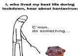 I, who lived my best life during lockdown, hear about hantavirus: C'mon, do something...