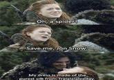 Oh, a spider! Save me, Jon Snow. My dress is made of the purest silk from Tralalalaleeday.